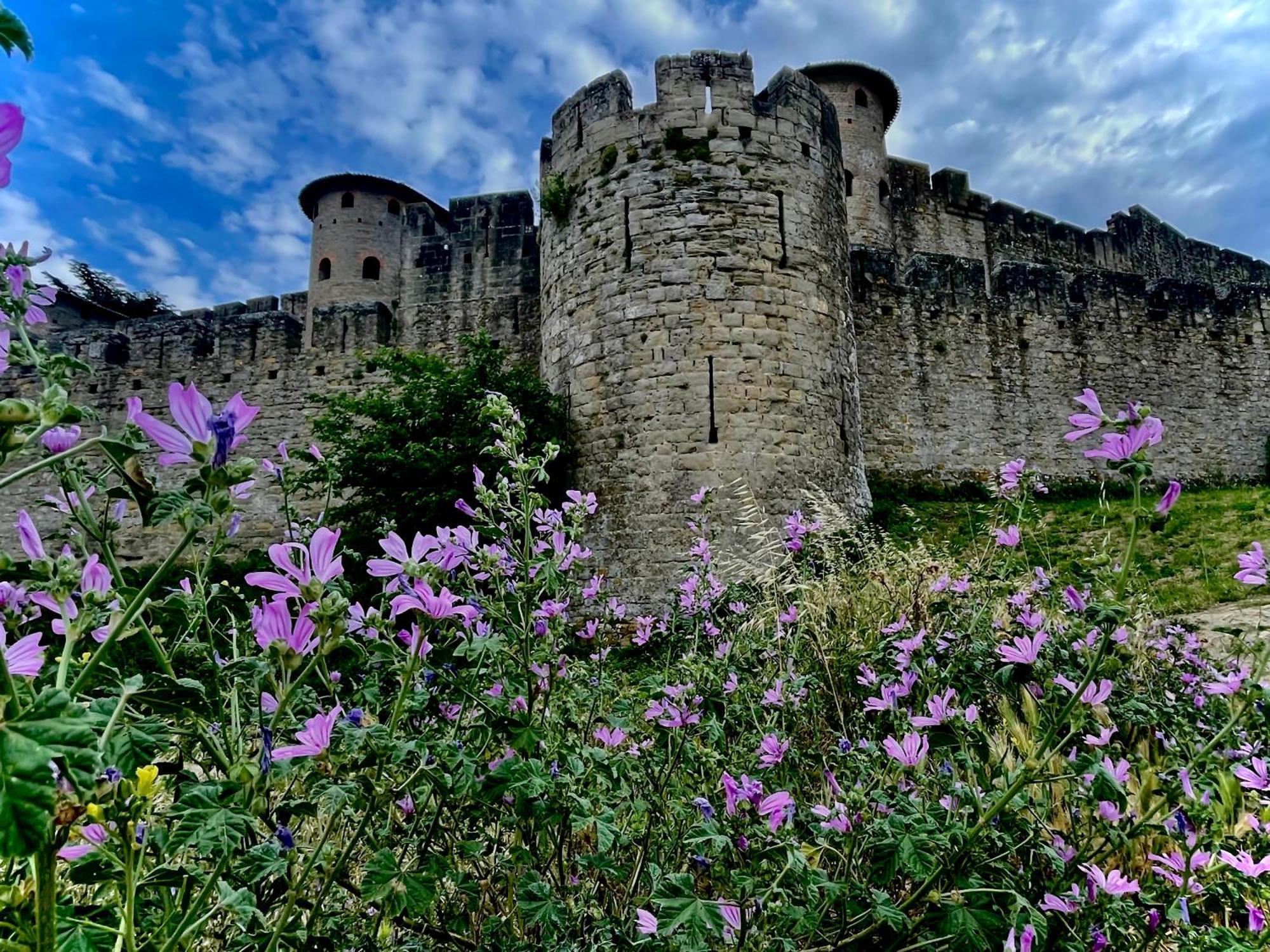 Holiday home Maison Petit Arago Avec Roof Terrace Et Parking Prive Carcassonne